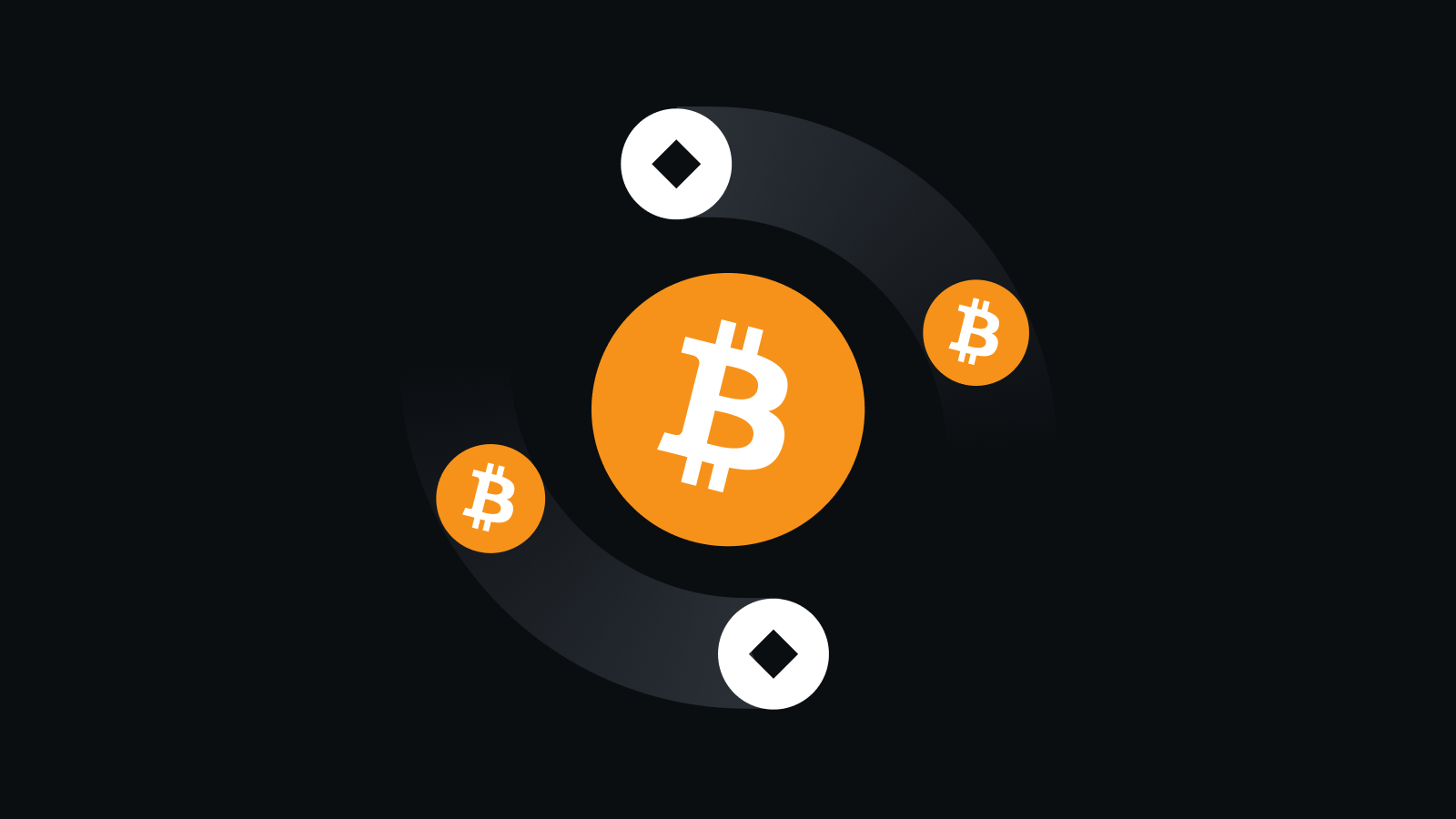 安币官网下载入口